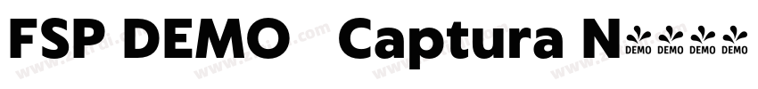 FSP DEMO   Captura N字体转换